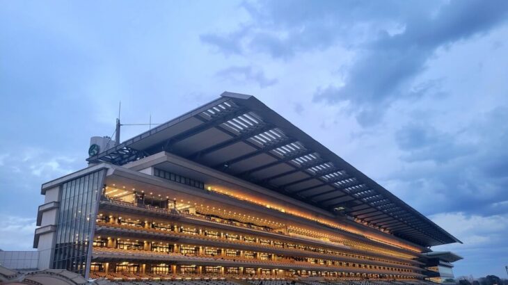 トルコの競馬場でレース観戦しているのは…なんと猫！？屋内や売店にも猫が出没→イスタンブール競馬場を撮影した動画が話題に(ブログ)