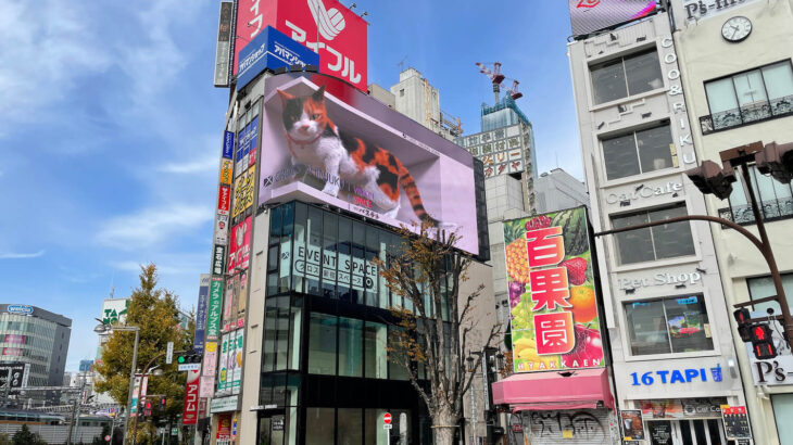 巨大な3D猫が毛づくろいする映像は圧巻ニャ！新宿東口のビル屋上にある大型ビジョンで新作動画の放映がスタート(ブログ)