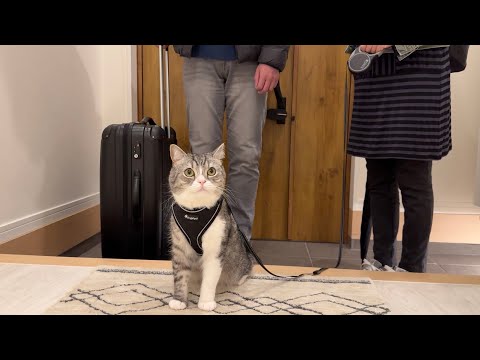 もち様が可愛いすぎて実家に連れて帰ろうとしてる両親がこちらです…(YouTube)