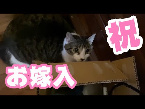 祝！ お嫁入！Her new life begins(YouTube)