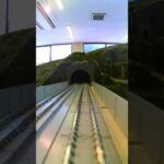 トンネル手前、猫怪獣発生につき徐行しまーす(YouTube)