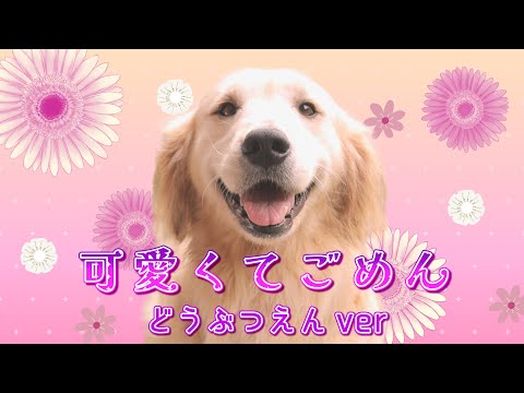 【MV】どうぶつが可愛くてごめん／HoneyWorks(YouTube)