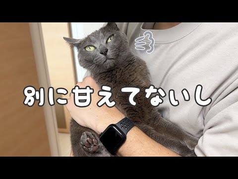 ハムちゃんがパパに大人しく抱っこされました！！！(YouTube)