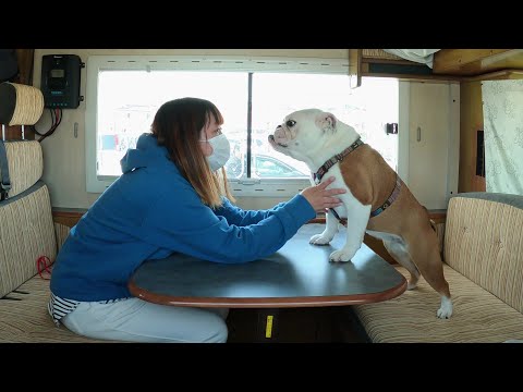 無計画に家を飛び出して、行く当てのない女子ふたり旅が楽しすぎました♪♪(YouTube)