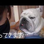 ママが家を出て行ってもう３日経つのですが、寝ぼけてたので何も覚えてません…(YouTube)