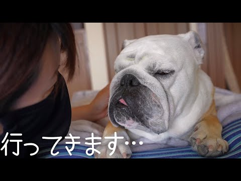 ママが家を出て行ってもう３日経つのですが、寝ぼけてたので何も覚えてません…(YouTube)