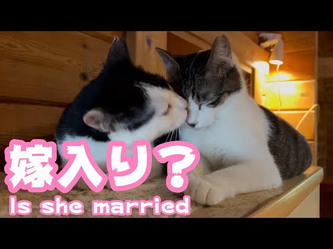 嫁入り？ Is she married?(YouTube)