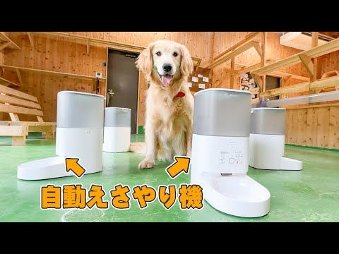 えさやり機を大量に設置したらリアクションが面白過ぎたww(YouTube)