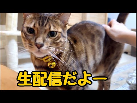 【生配信4/9】今日パパさんに読んでもらう生配信(YouTube)