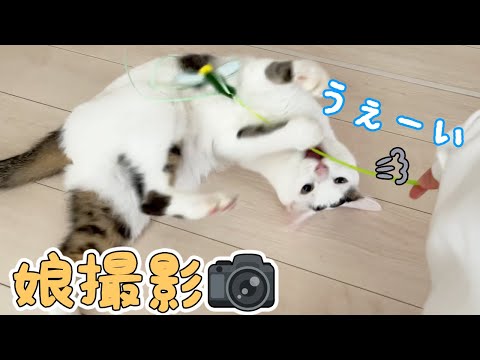 娘と猫たちだけでお留守番してもらいました！(YouTube)