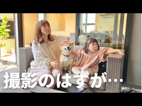 モデルルーム撮影のはずがお姉さん好きが発動してしまった柴犬(YouTube)
