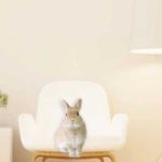 賃貸物件でうさぎとスマートに暮らすために…(ブログ)