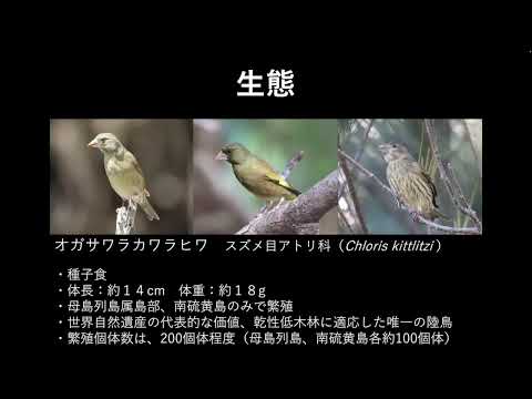 日本で最も絶滅に近い鳥オガサワラカワラヒワの絶滅回避のためのカメラセンサス調査（一般社団法人Islands care、2021年度助成）東京動物園協会野生生物保全基金 2022年度成果報告会(YouTube)
