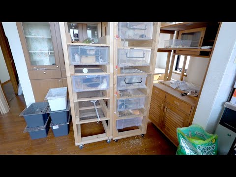 【ラット脱走!?】疑惑の正体(YouTube)