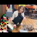 たくさんの○○が送られてきました！(YouTube)