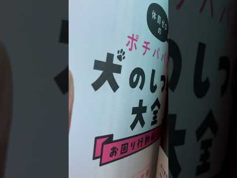 来たキタ来たキタ北の梅(YouTube)