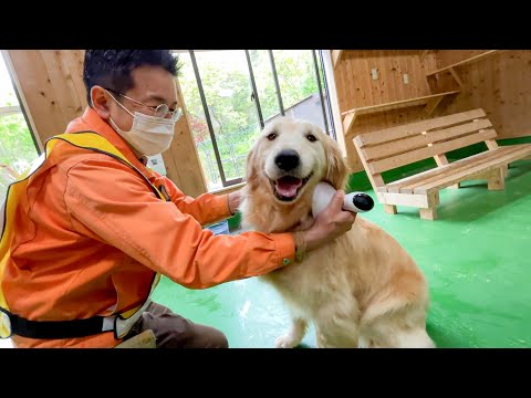 普段頑張ってくれている動物達を取締役が労ってみた。(YouTube)