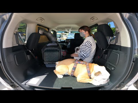 真夏の車中泊に向けて軽自動車を魔改造しました！【EcoFlow WAVE2】(YouTube)
