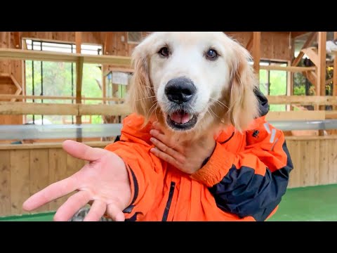 ついに飼育員と犬がひとつになりましたw(YouTube)