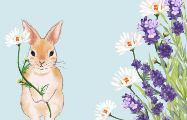 うさぎとホリスティック医療　その１(ブログ)