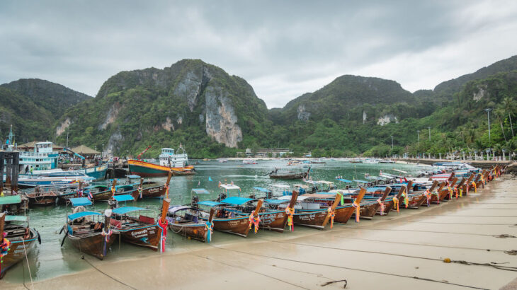 タイの猫島「ピピ島」の魅力とは？旅をしながらシャッターを切り続ける日本人にインタビュー、現地で見た光景を写真で振り返る(ブログ)