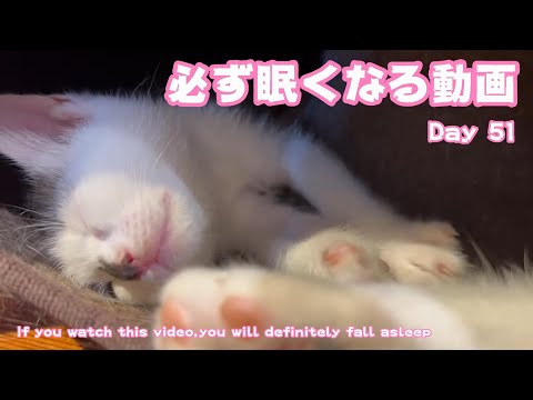 必ず眠くなる動画 Day 51 If you watch this video,you will definitely fall asleep(YouTube)