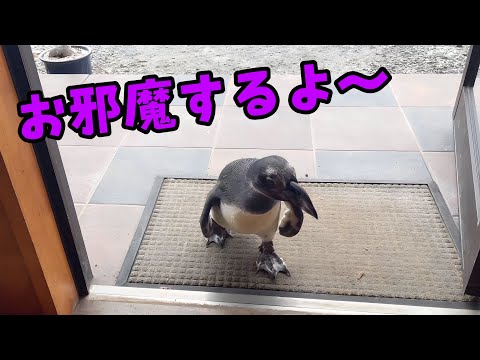 【タンクがゆく！#2】遊びに来たと思って連れてこられた場所で待ち受けていたものとは…(YouTube)