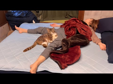 ママと猫の寝相が悪すぎて笑った件・・(YouTube)
