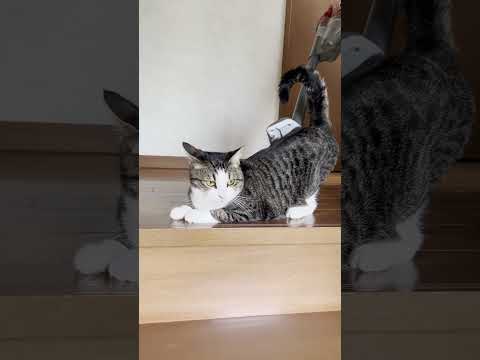 普通、逃げへん？(YouTube)