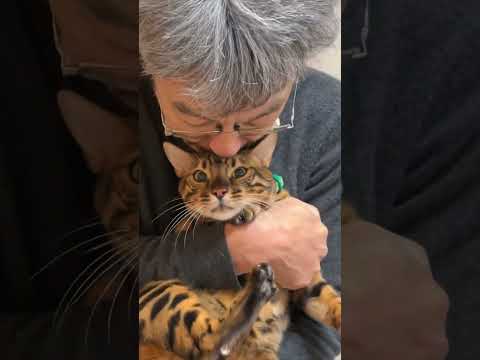 猫モグモグするじいさん #shorts(YouTube)