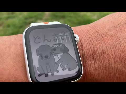本日6月18日15時よりライブ配信させて頂きます(YouTube)
