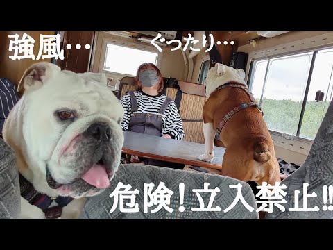 【北海道車中泊旅】人間が吹き飛ぶ程の暴風で生命の危機を感じました…風速20㍍以上、全てをなぎ倒す恐ろしさ…(YouTube)