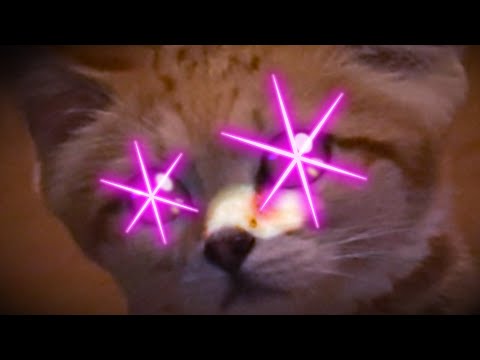 YOASOBI「アイドル」動物園ver.(YouTube)