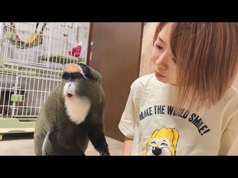 お猿さんのご飯タイムは大騒ぎ！(YouTube)