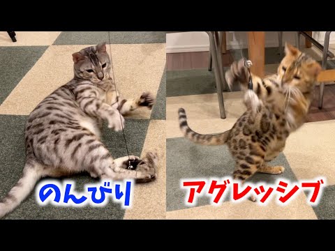 怠惰な遊び方をするルトと無駄な動きが多いロゼ(YouTube)