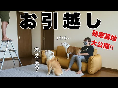 今まで隠していた愛犬の秘密基地を初公開！！遂にはお引越しまで！！？(YouTube)