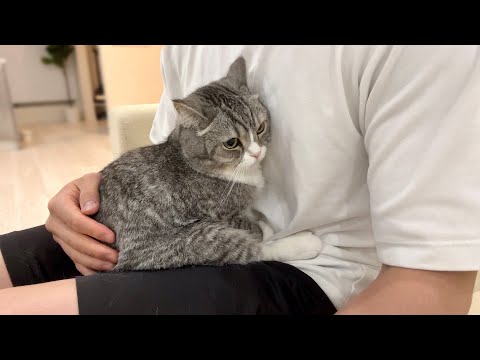 大嫌いなお風呂に入れられて不貞腐れた猫がこうなっちゃいました…(YouTube)