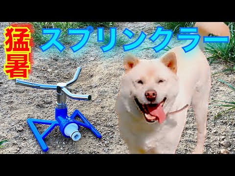 【猛暑】熱中症は昼間の暑い時間注意だけじゃない！(YouTube)
