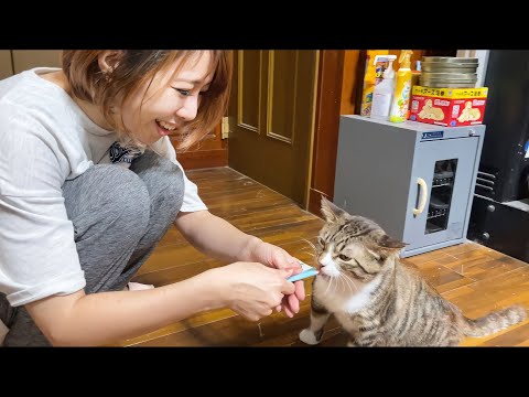 ポン太の大好きなちゅーる（ピューレ）が食べられるようになりました(YouTube)