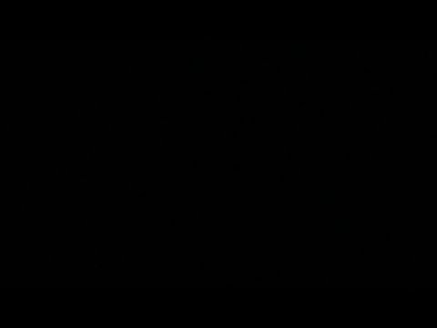 スナネコの子供名前発表ライブ‼︎(YouTube)