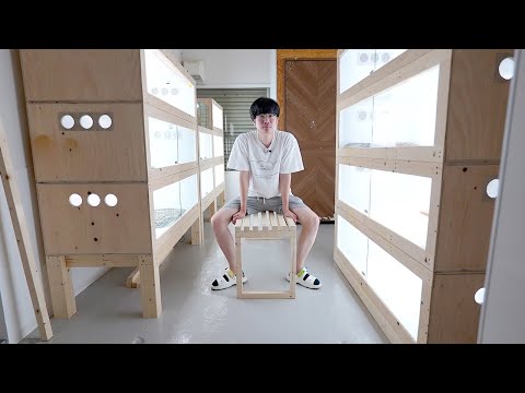カフェ物件へケージと生体を大移動しました(YouTube)