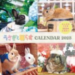 うさくらカレンダー2024進捗報告…(ブログ)