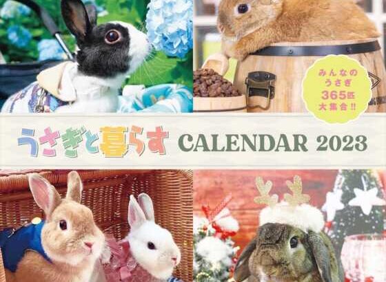 うさくらカレンダー2024進捗報告…(ブログ)
