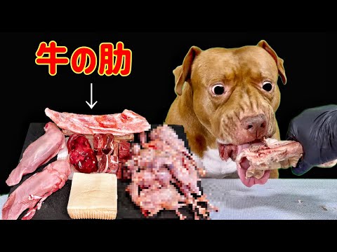 牛の肋骨を噛み砕く咀嚼音がヤバすぎる(YouTube)