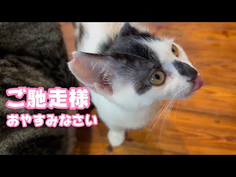 ご馳走様 おやすみなさい(YouTube)
