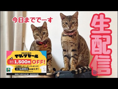 【生配信8/6】明日から実家に帰りますよ生配信📹(YouTube)