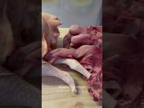 最高のご馳走を見ると固まってしまうピットブル😂😂😂#ピットブル(YouTube)