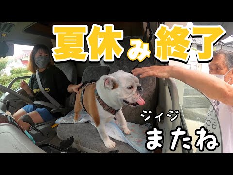 ジィジ＆バァバに「さよなら…」した時の愛犬の仕草が泣ける…(YouTube)