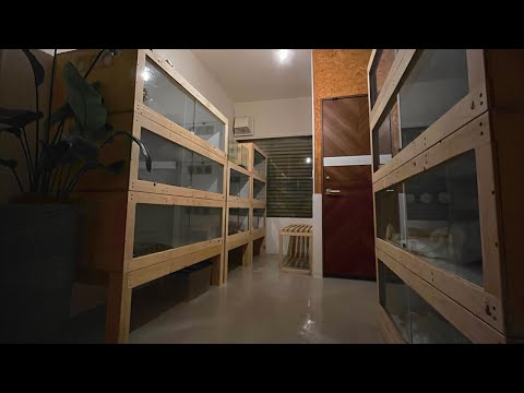 あああああ(YouTube)