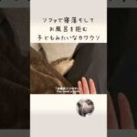 自分を人間の子供かなんかだと信じて疑ってないであろうカワウソ otter who probably believes he’s a human child or something.(YouTube)